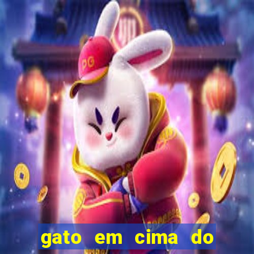 gato em cima do telhado significado espiritual